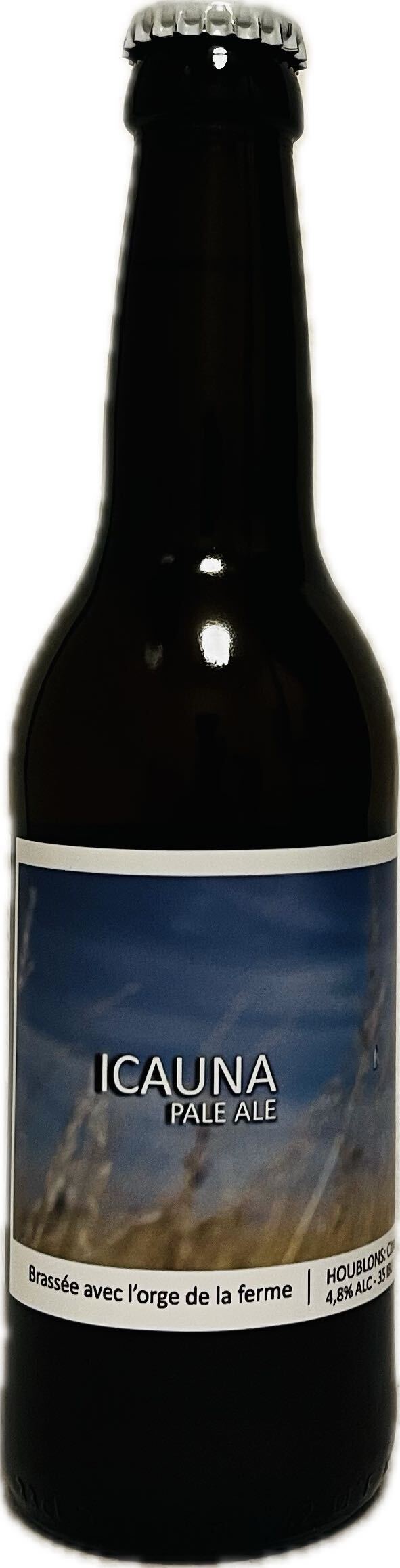 Biere - Icauna  - Brasserie Popihn - American Pale Ale - France - La cave d'Emelyne